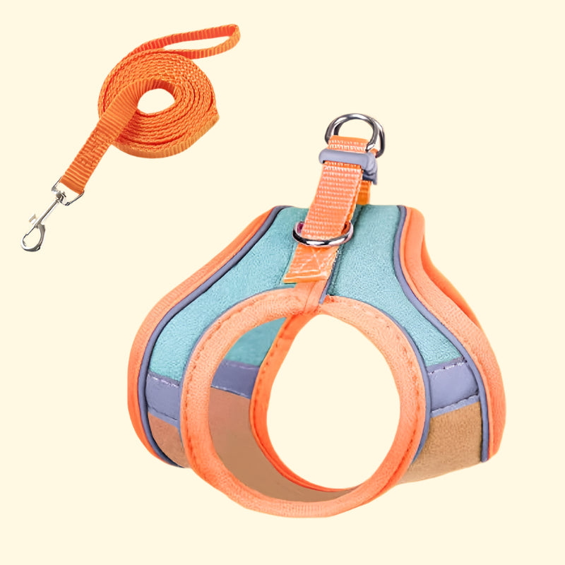 Cat Walking Harness with Leash