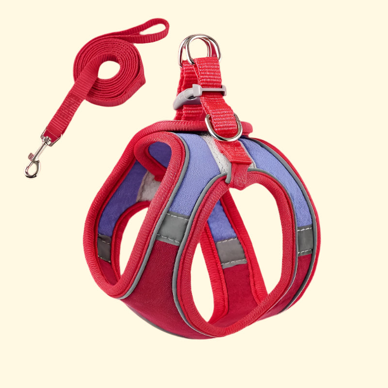 Cat Walking Harness with Leash