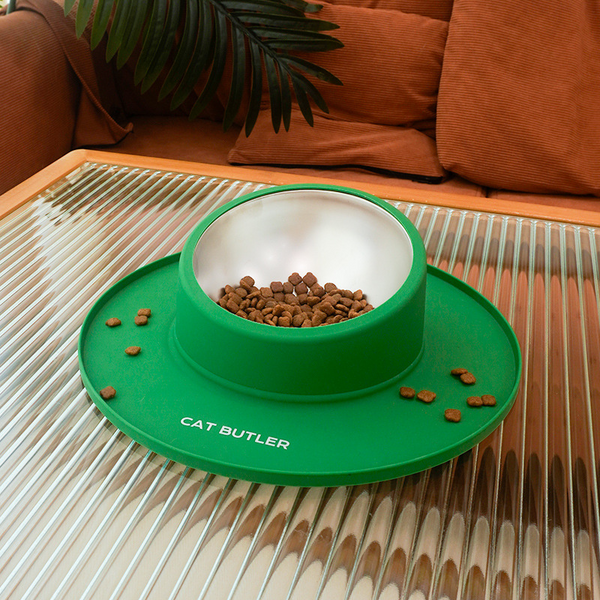 Anti-Slip Bowl