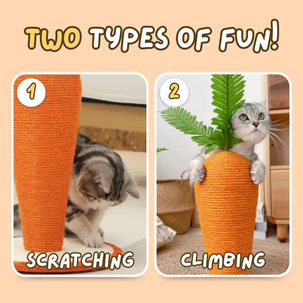 Carrot Scratching Post