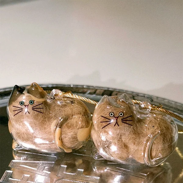 Cat Memory Capsule