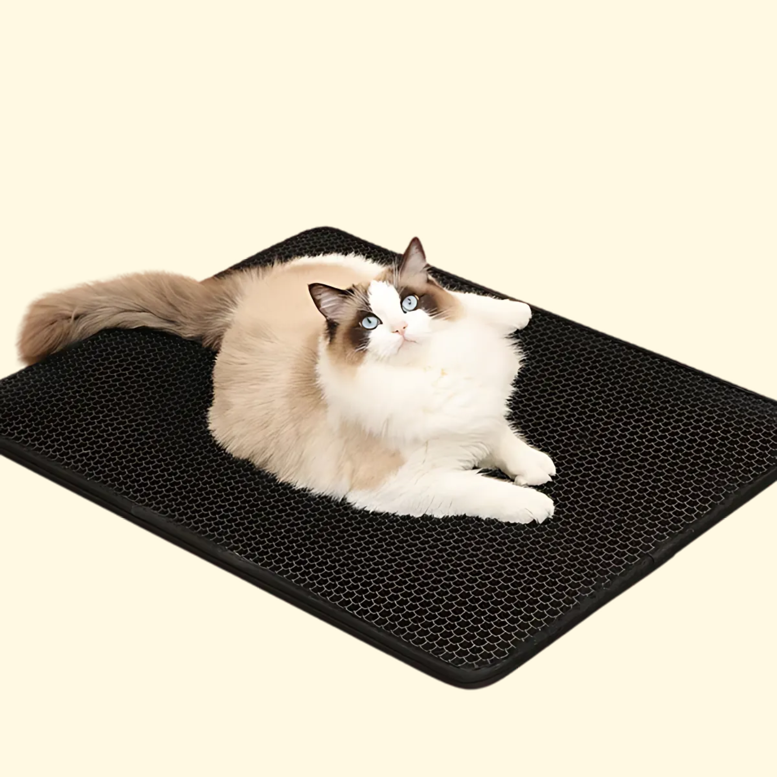 Double Layer Litter Mat