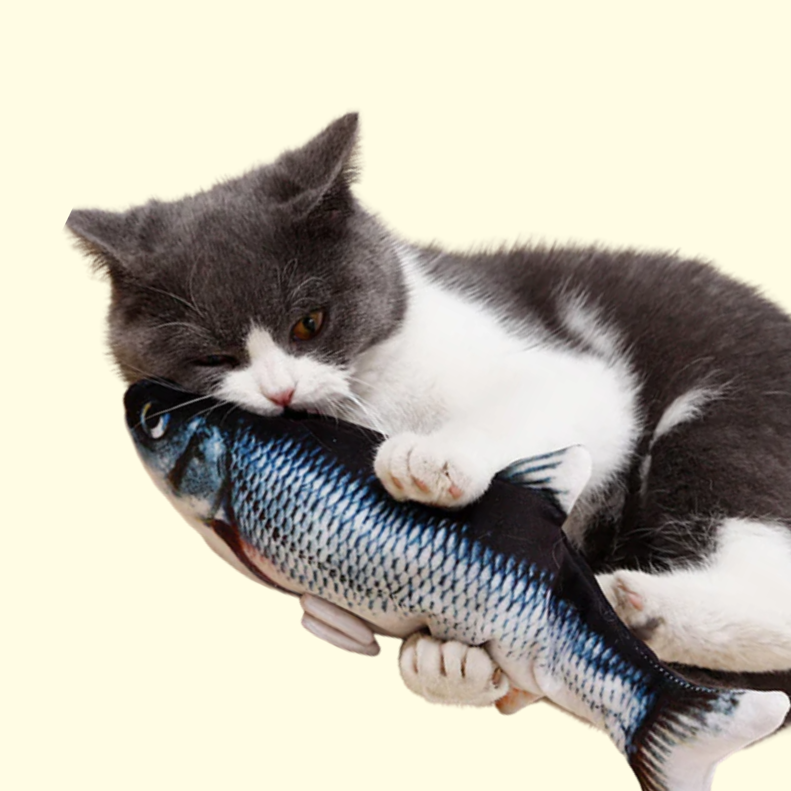 Interactive Fish Toy