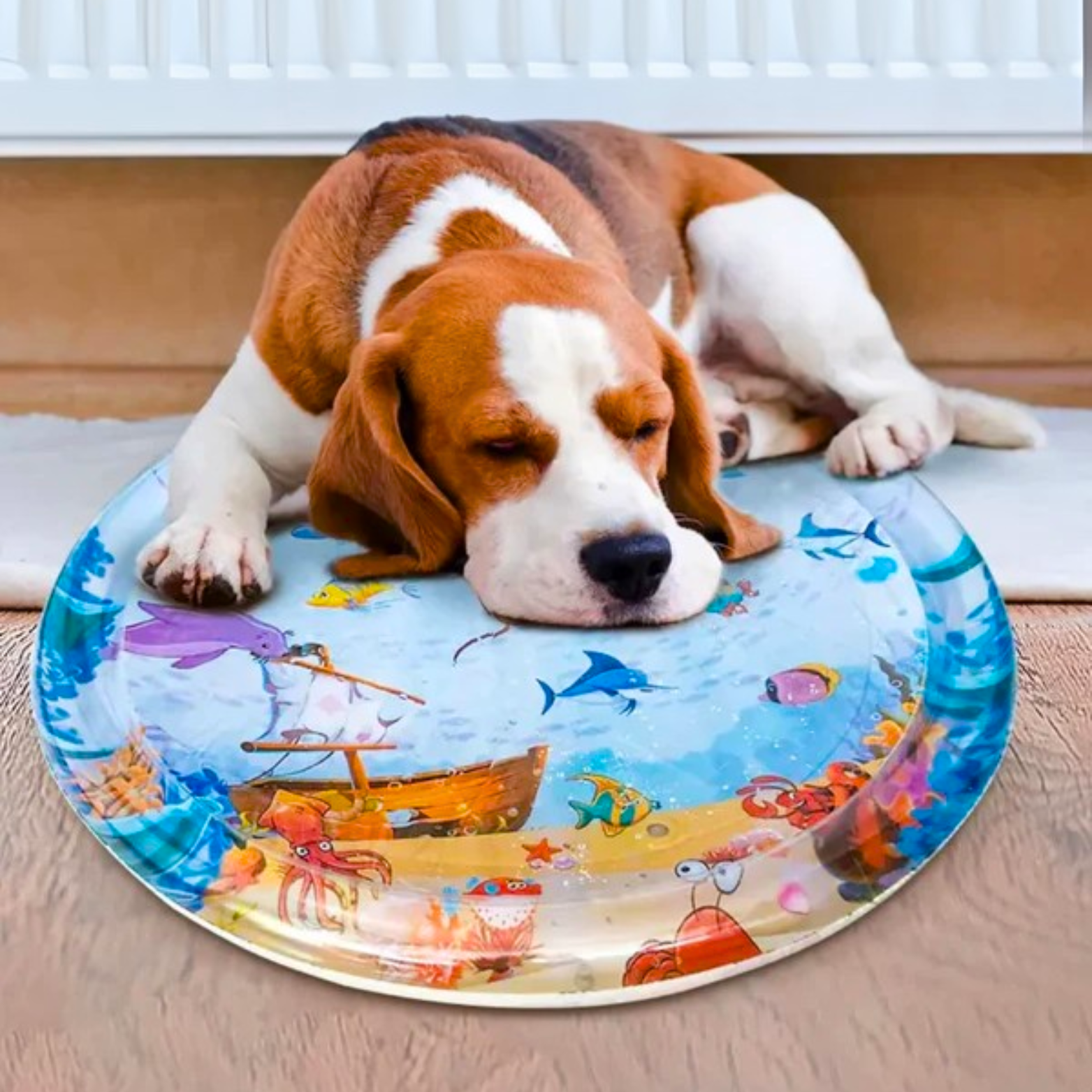 Pet Water Bed