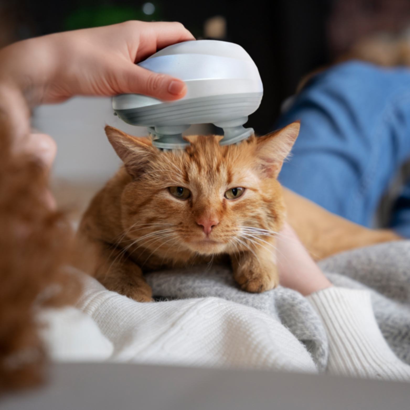 Pet Massager