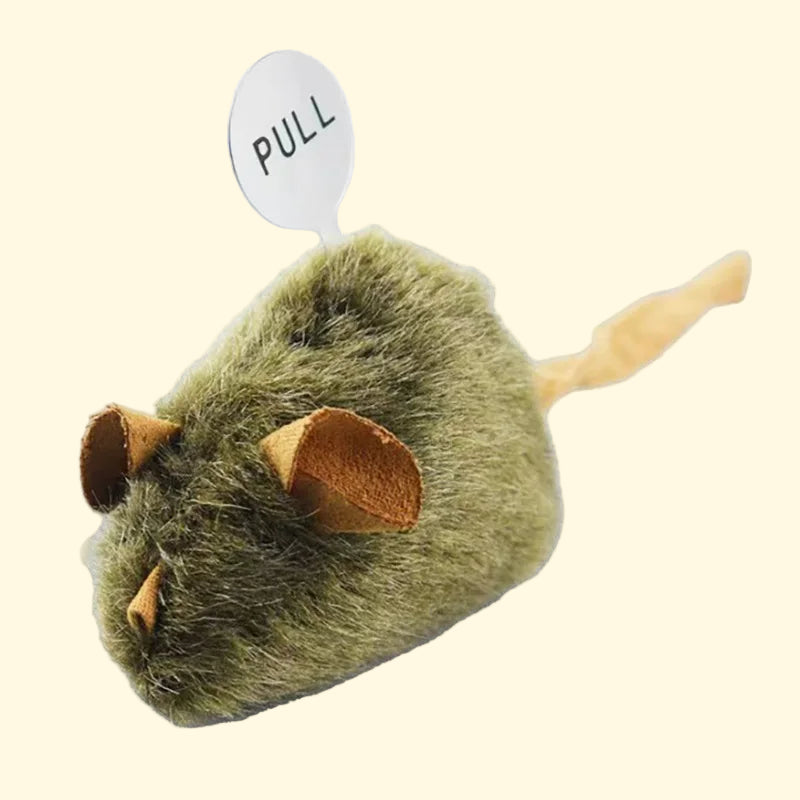 Squeaky Mouse Toy
