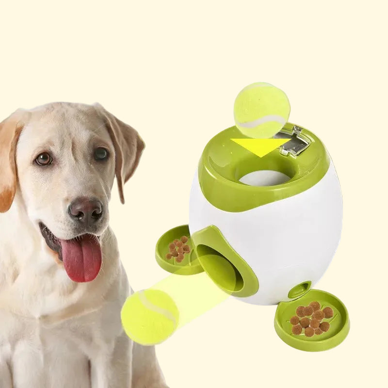 Automatic Ball Feeder Toy