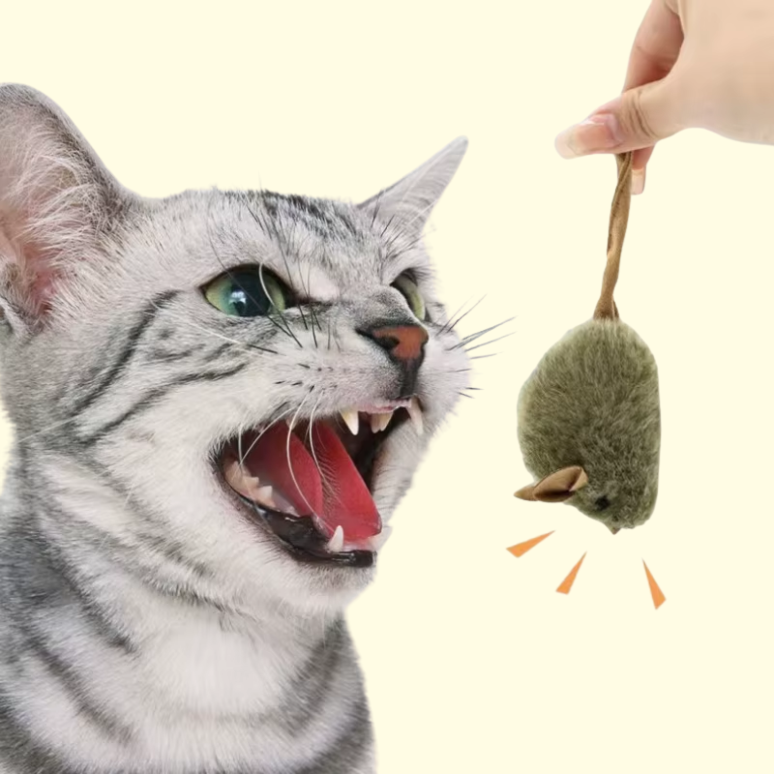 Squeaky Mouse Toy