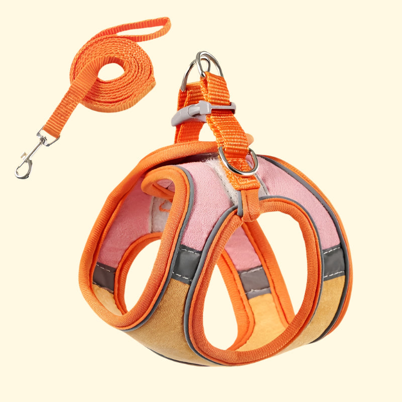 Cat Walking Harness with Leash