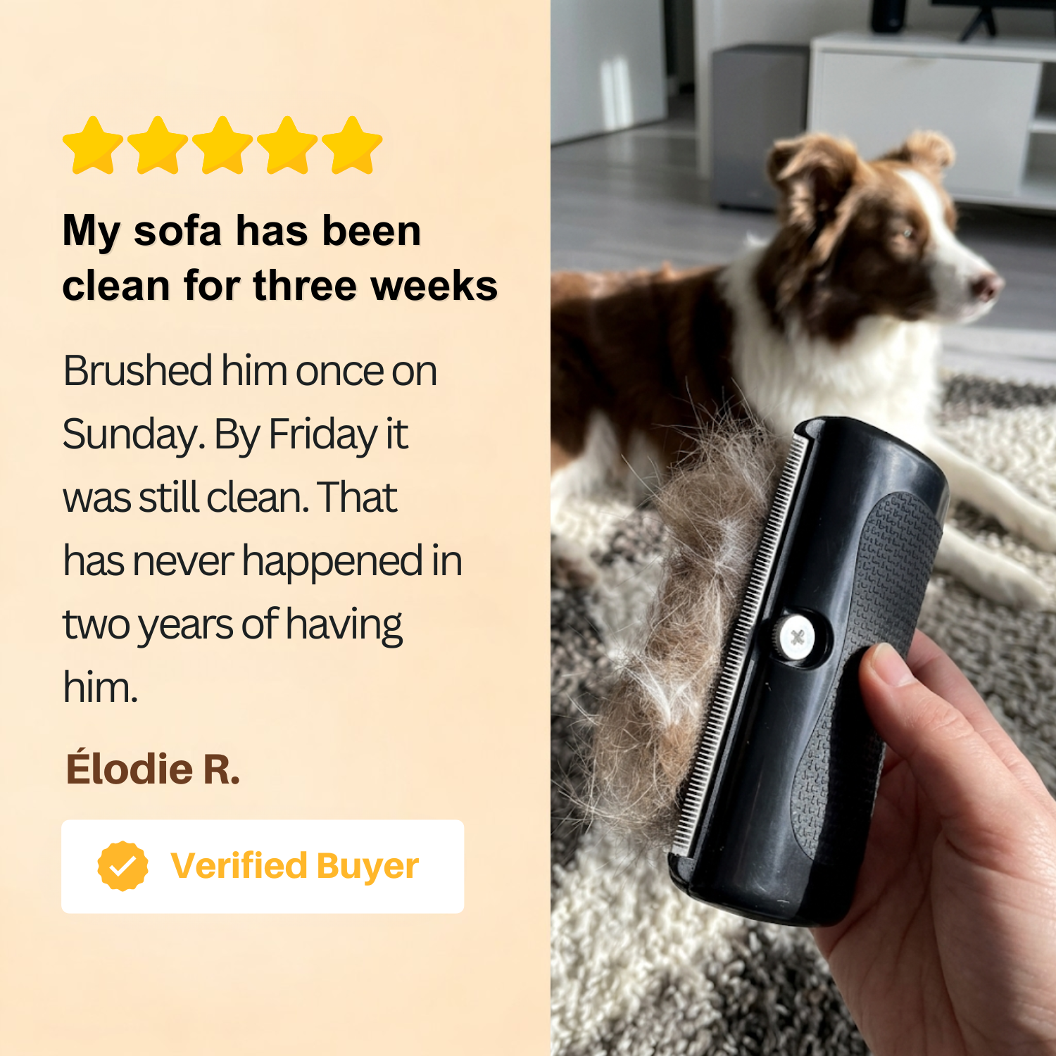 Fur Removal Brush