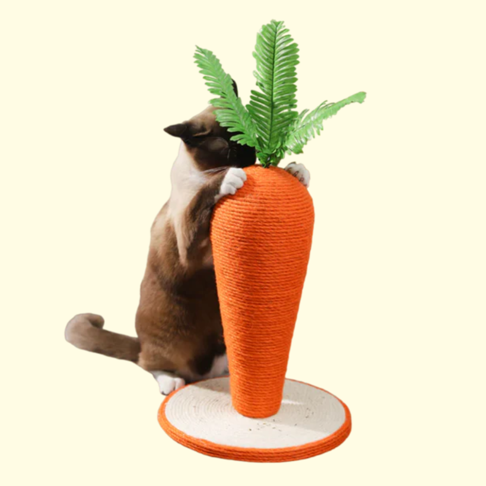 Carrot Scratching Post