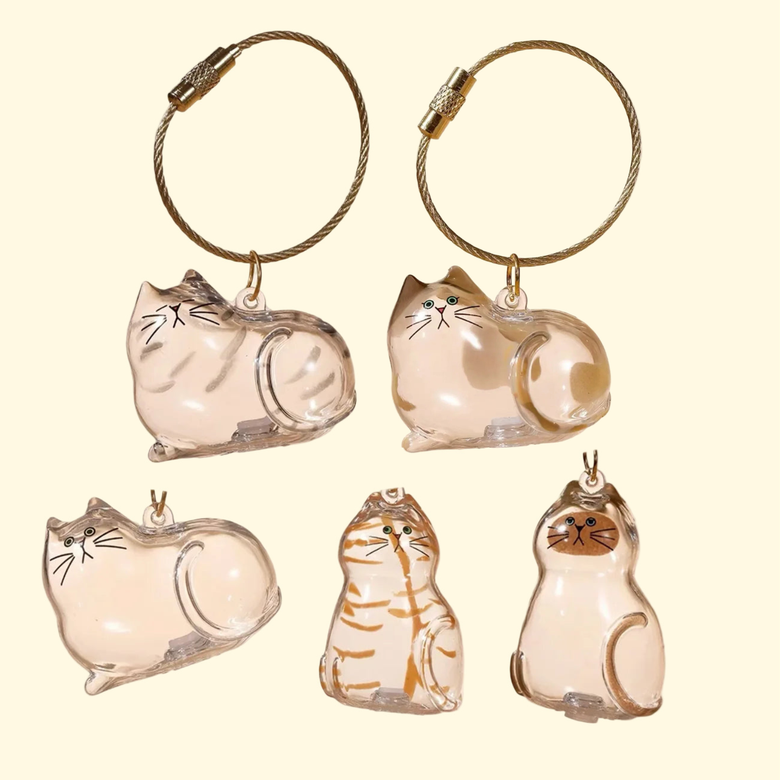 Cat Memory Capsule