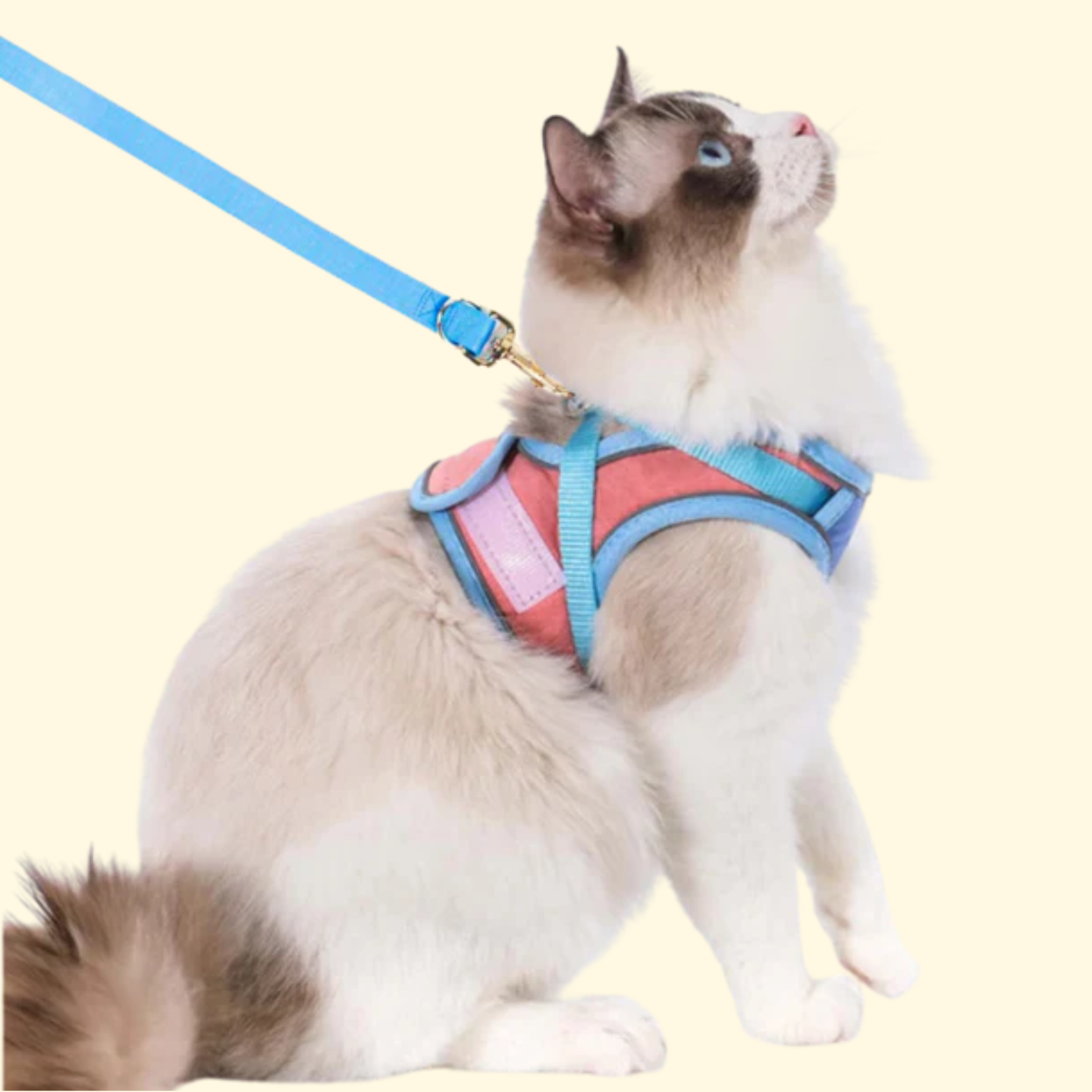 Cat Walking Harness with Leash