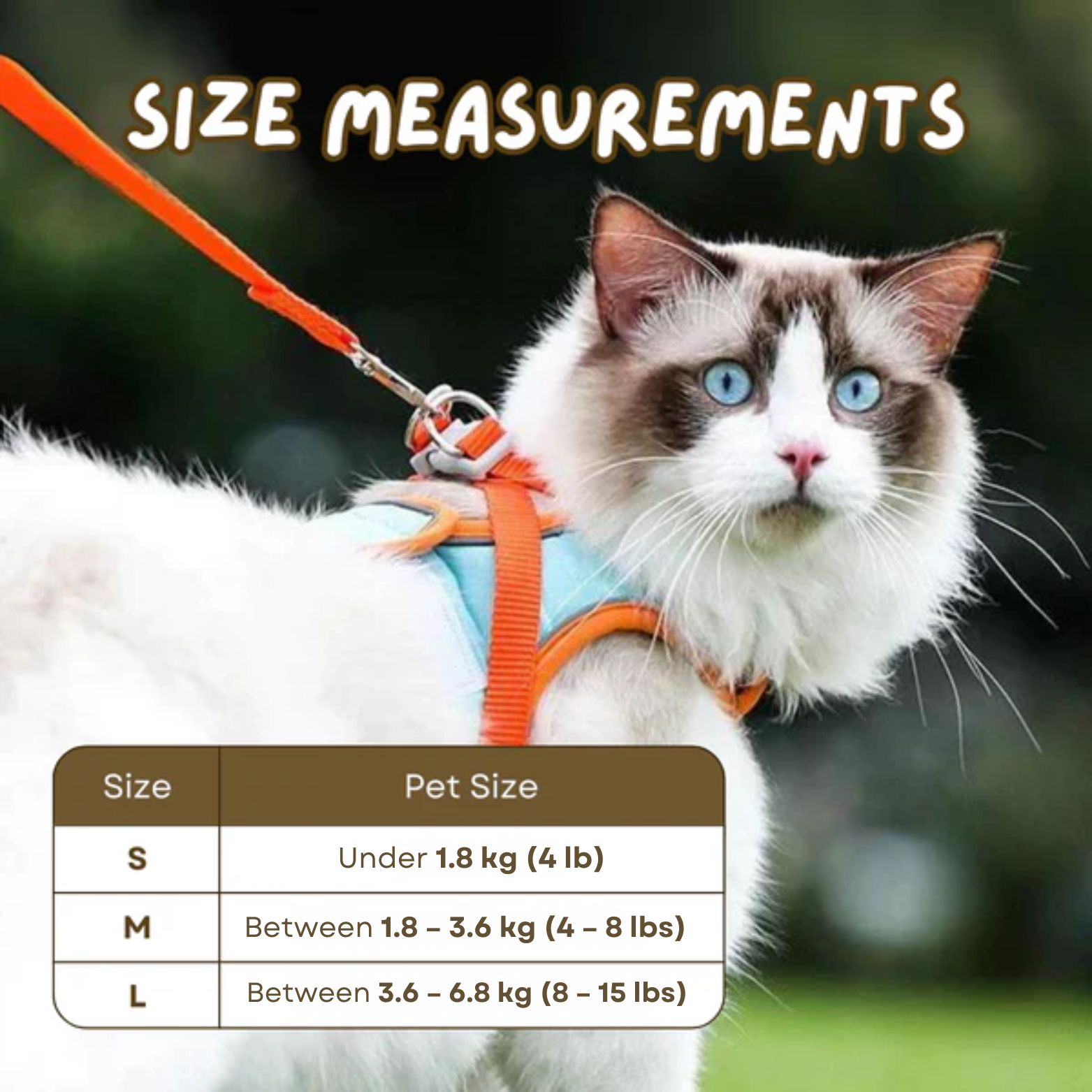 Cat Walking Harness with Leash