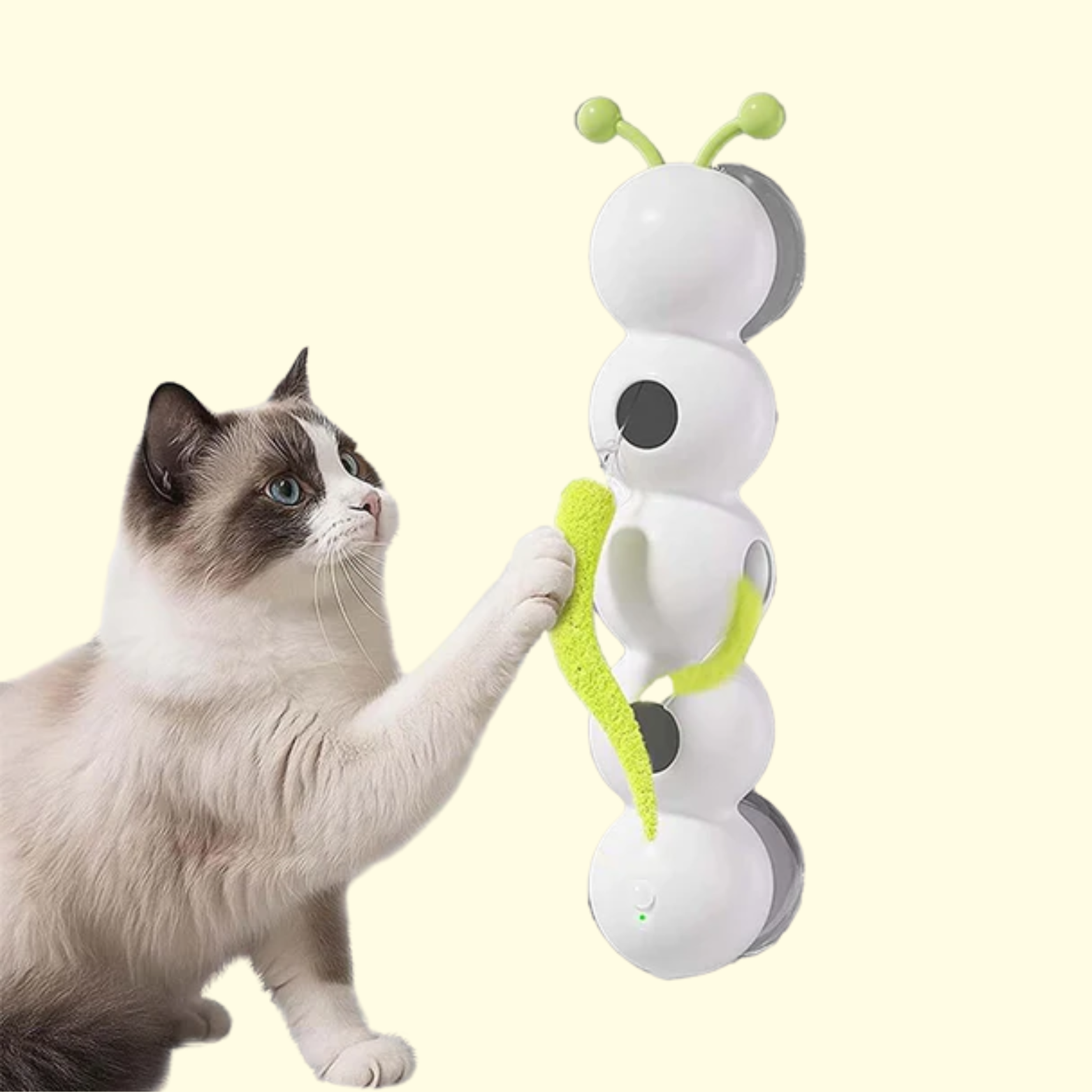 Interactive Caterpillar Toy