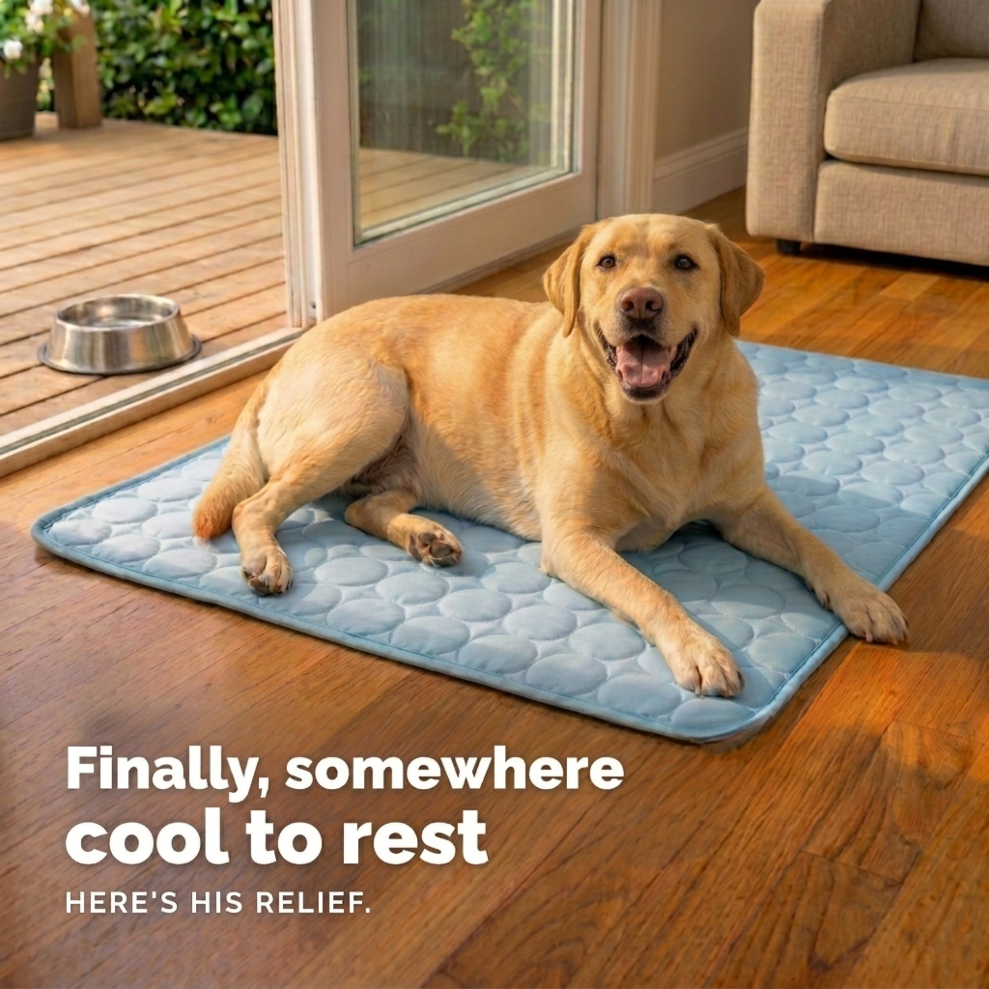 Dog Cooling Mat