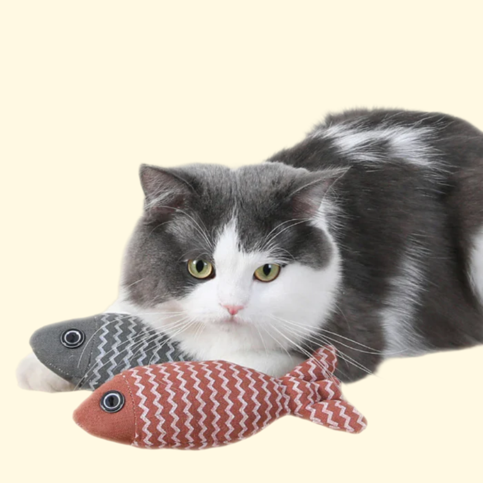 Catnip Fish Toy