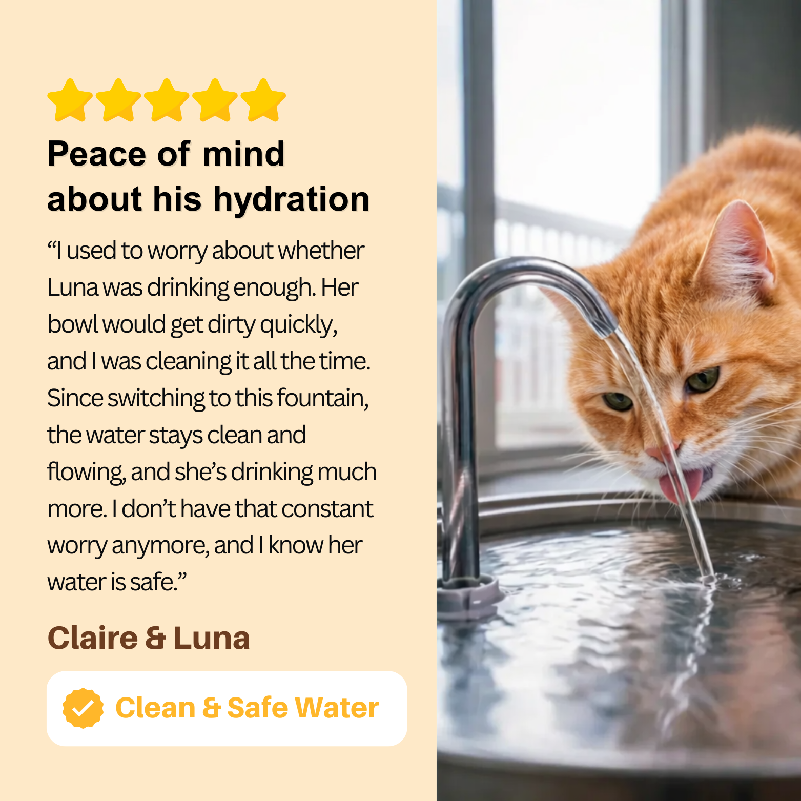 Stainless Steel Cat Water Fountain (3.2L)