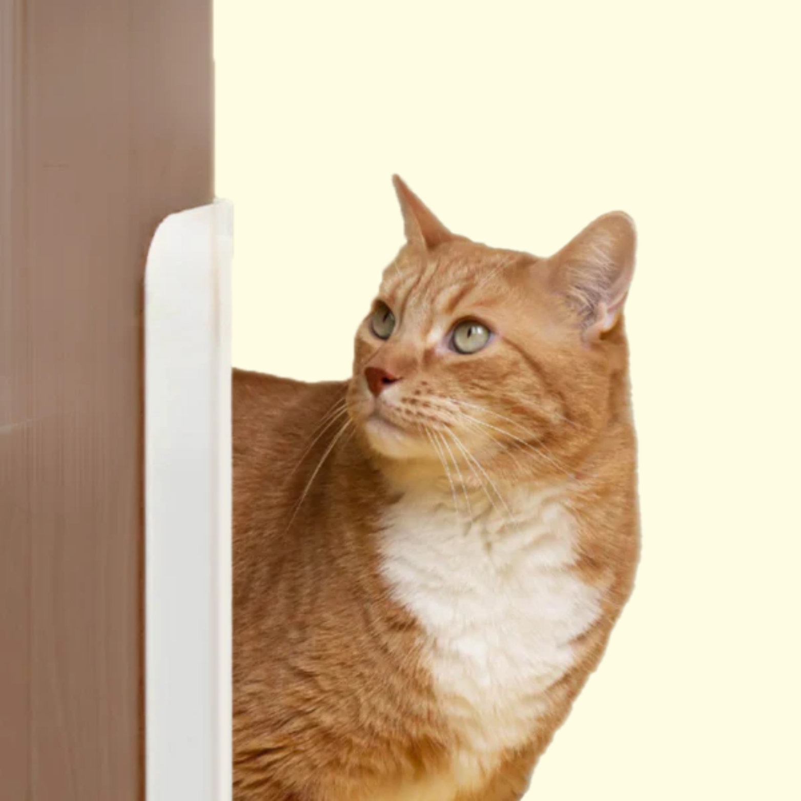 Pet Door Opener