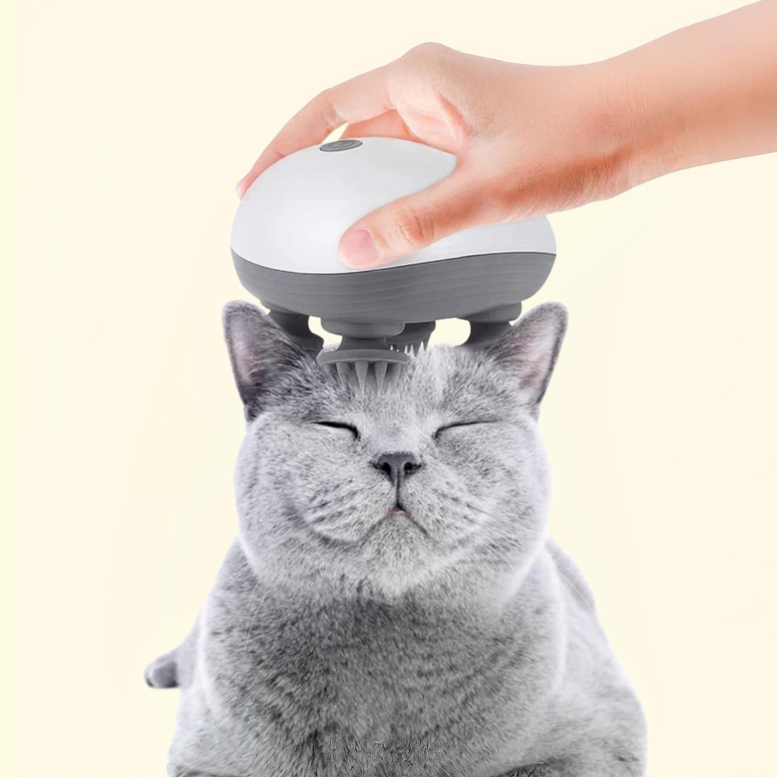 Pet Massager