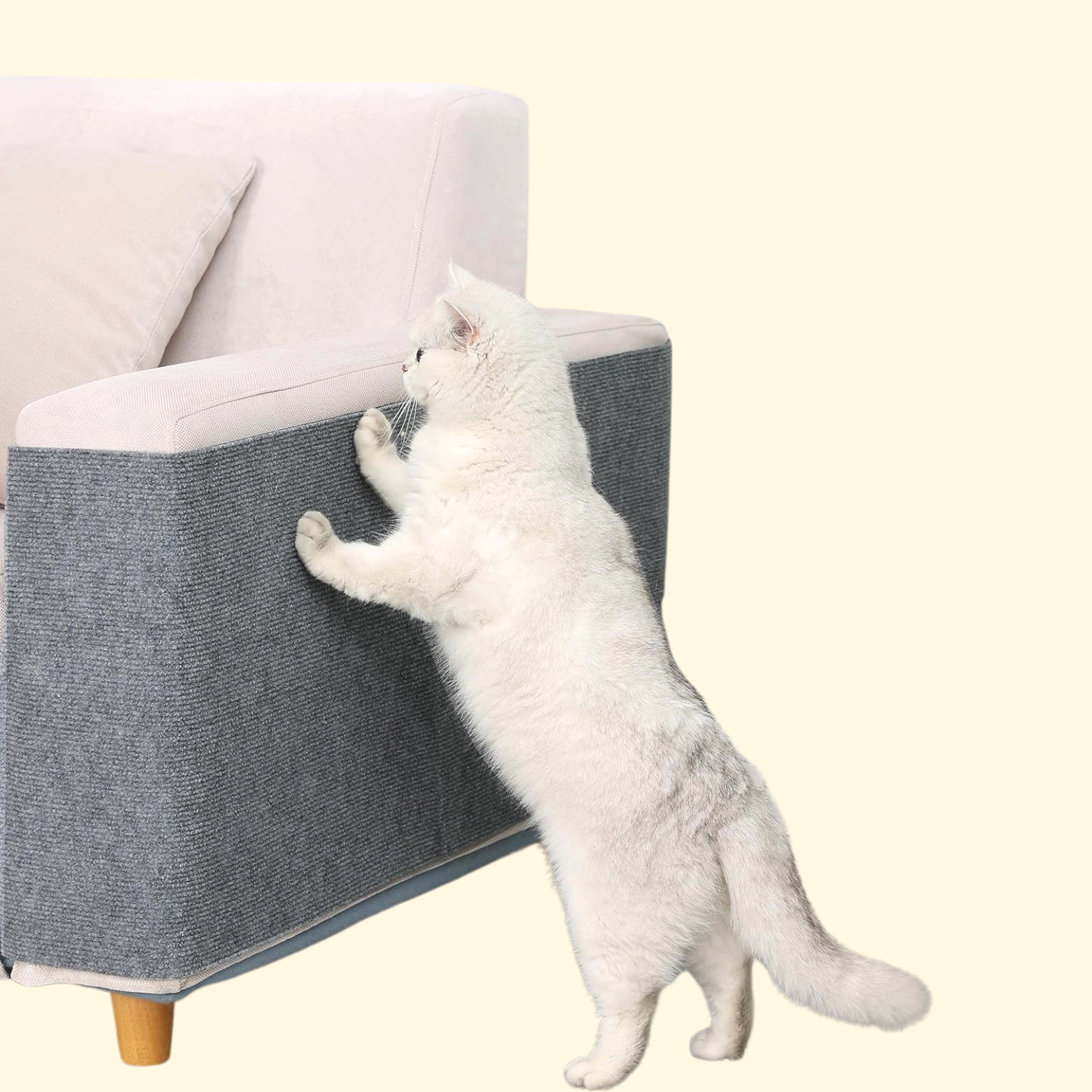 Protective Scratch Cover