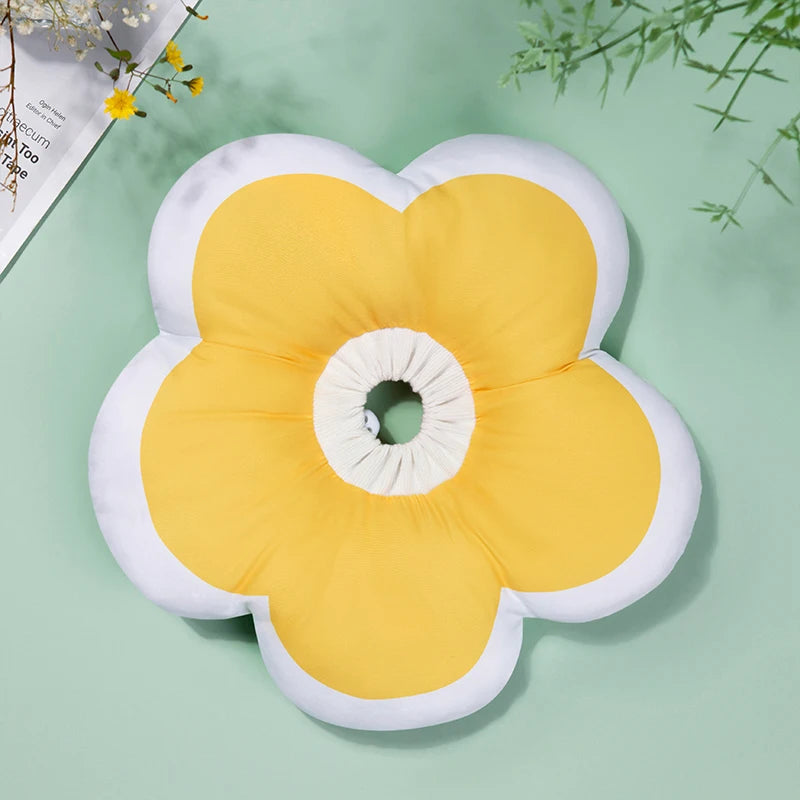 49301884862809|49301885092185|49301885124953