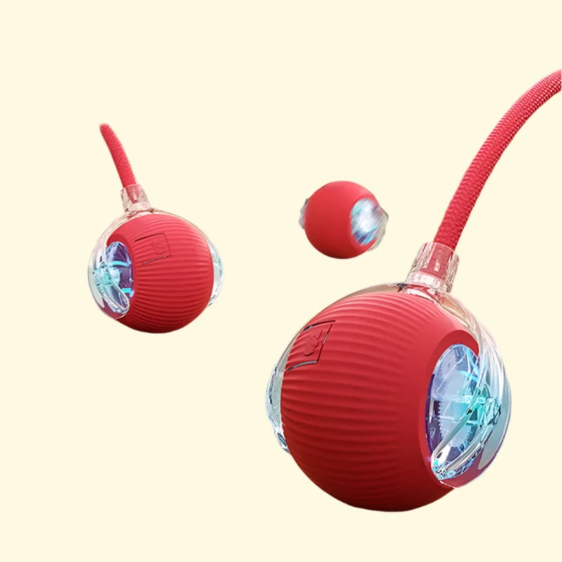 Pet Rolling Ball Toy