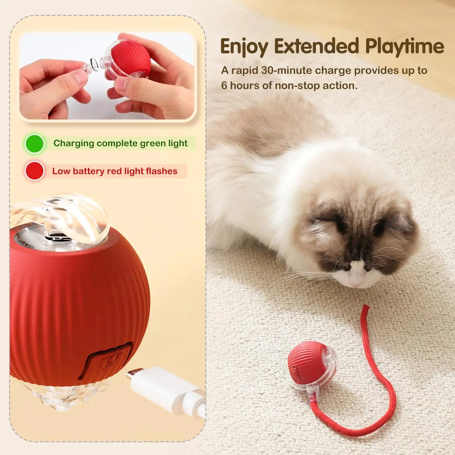 Pet Rolling Ball Toy