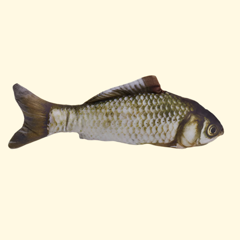 Interactive Fish Toy