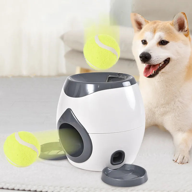 Automatic Ball Feeder Toy