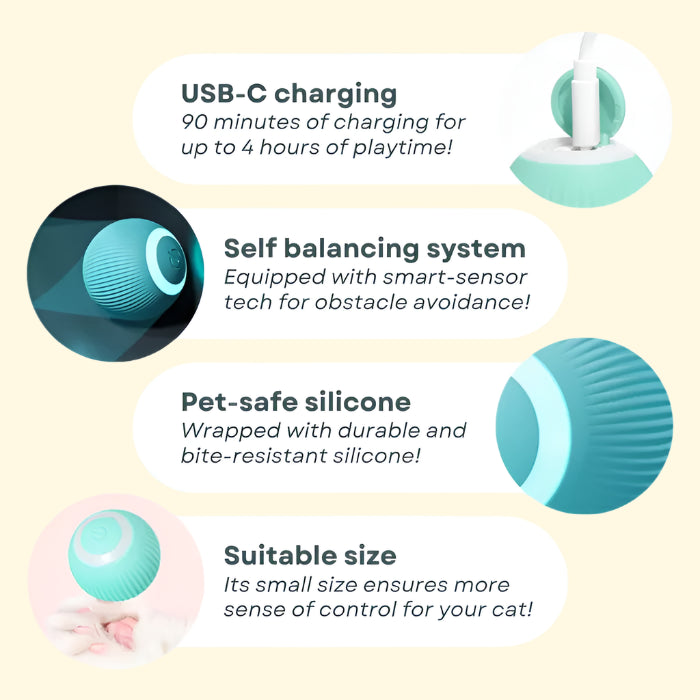 Smart Ball Cat Toy
