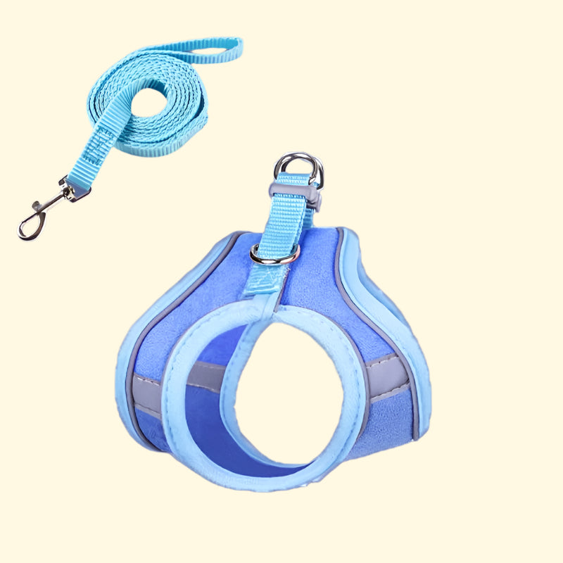 Cat Walking Harness with Leash