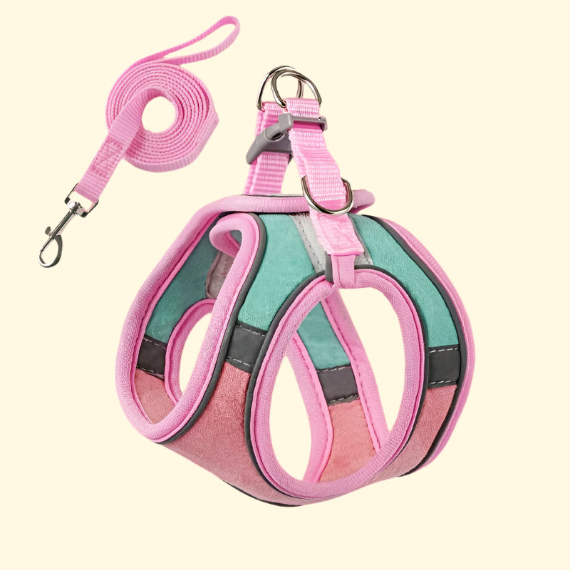 Cat Walking Harness with Leash